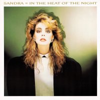 IN THE HEAT OF THE NIGHT [12"]
